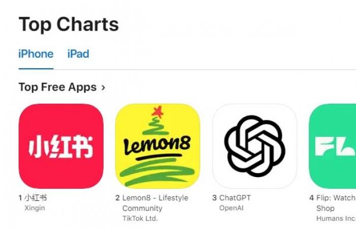 Social media users turn to Lemon8 and REDnote amid possible ban on TikTok in the United States