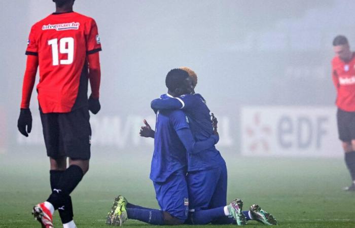 Coupe de France: Rennes (L1) eliminated by Troyes (L2) in the round of 16, Angers and Toulouse go through the roof