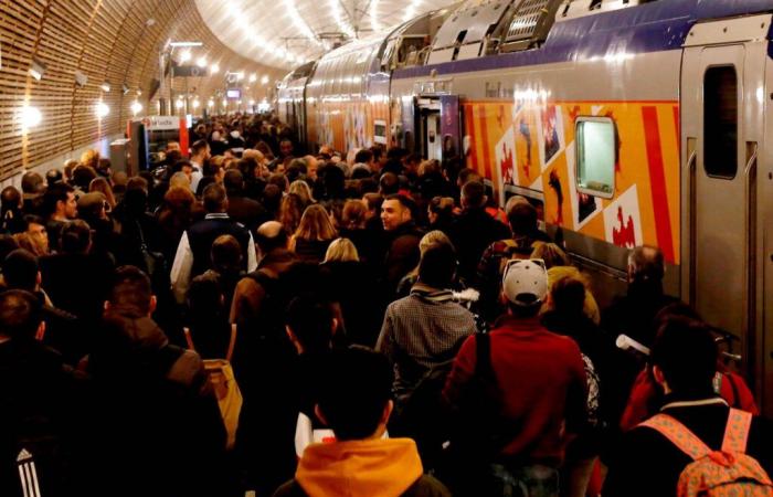 Interruption of train traffic on the Côte d'Azur this Wednesday evening: big mess in prospect, replacement buses put in place