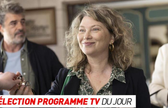 TV program: Made in France, Temptation Island… what to watch on TV this evening?