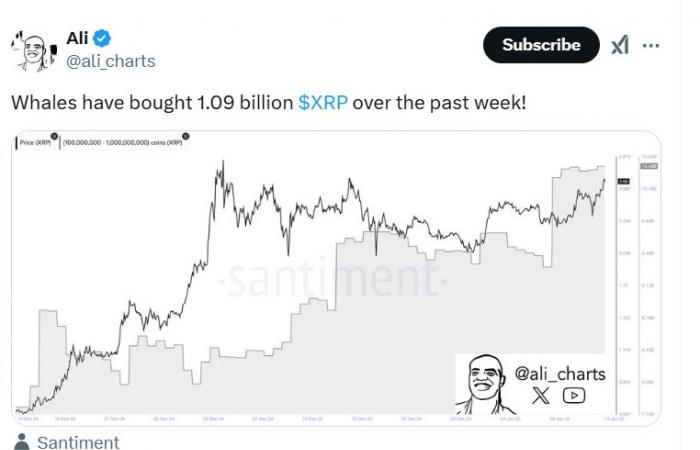 Here’s What Happened On-Chain Before XRP Jumped to $2.87