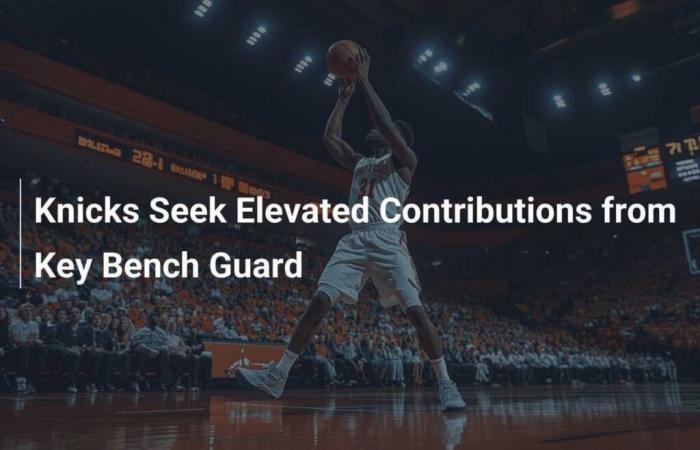 The Knicks are looking for increased contributions from their key bench guard