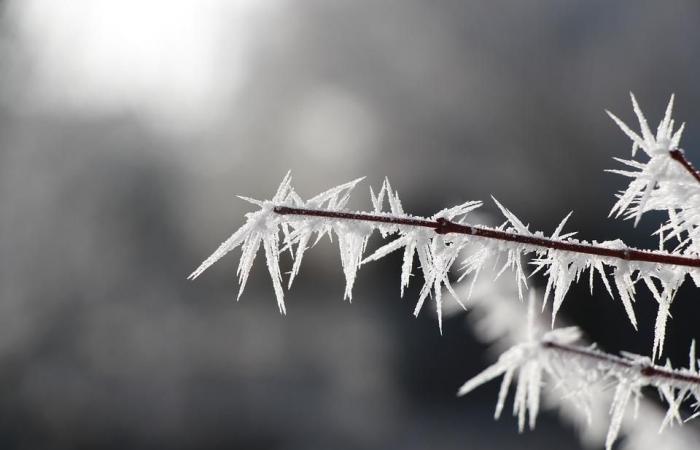 Snow-ice: Météo France activates yellow vigilance in Haute-Loire