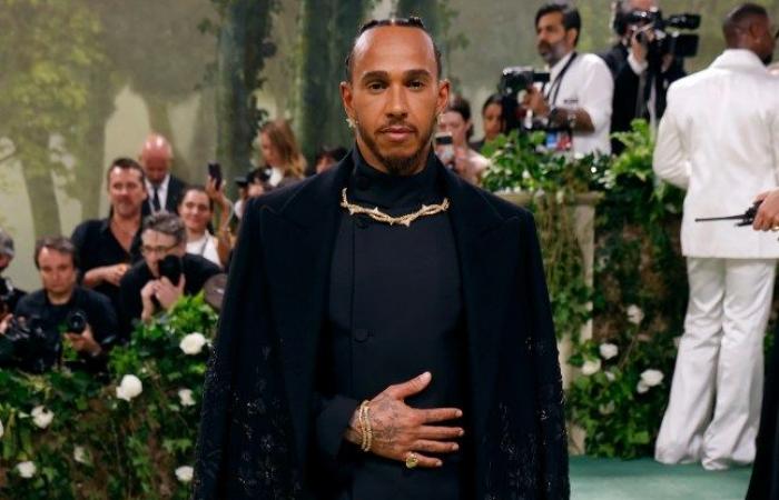 Sir Lewis Hamilton, 40, sparks dating rumours with TV comedy icon, 52