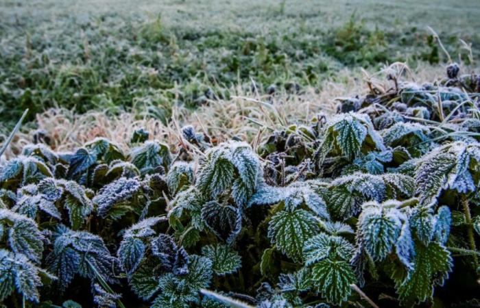 When will the winter cold that affects France disappear?