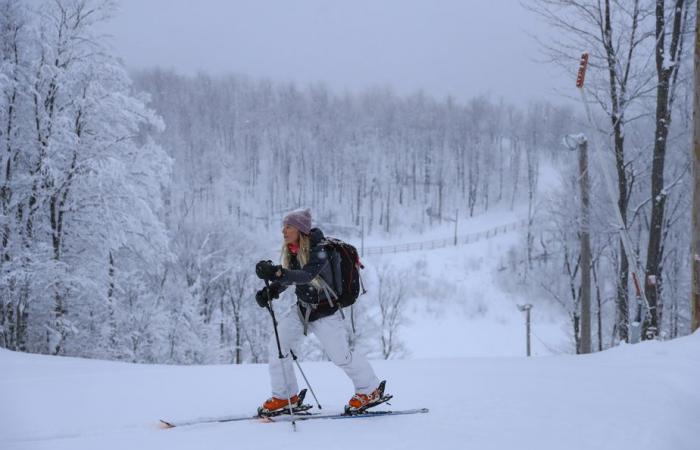 The wonderful world of cross-country ski bindings