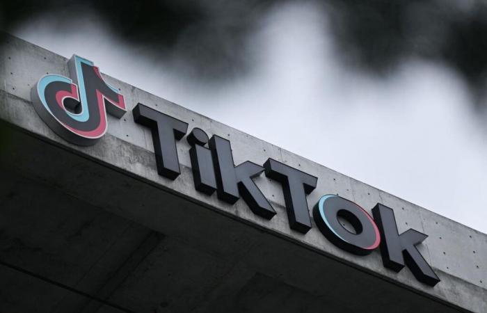 What future for TikTok in the United States? Transfer, extinction, circumventions… Here are the possible scenarios