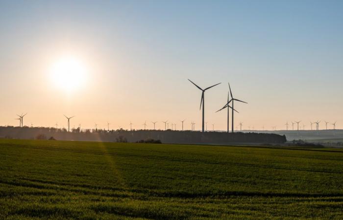 Wind projects in Lotbinière | The MRC wants to limit the impacts in the agricultural sector