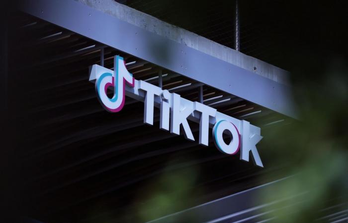 China is exploring the possibility of selling TikTok to Elon Musk