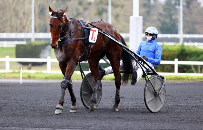 Gaspar d’Angis practiced before the Prix du Luxembourg