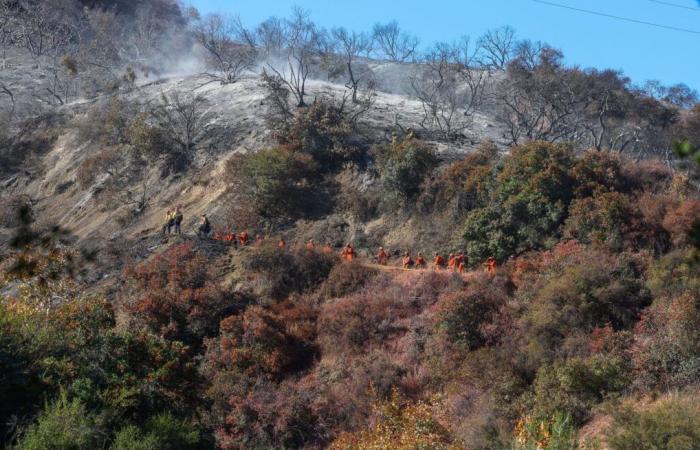 Inmates fight fires in Los Angeles