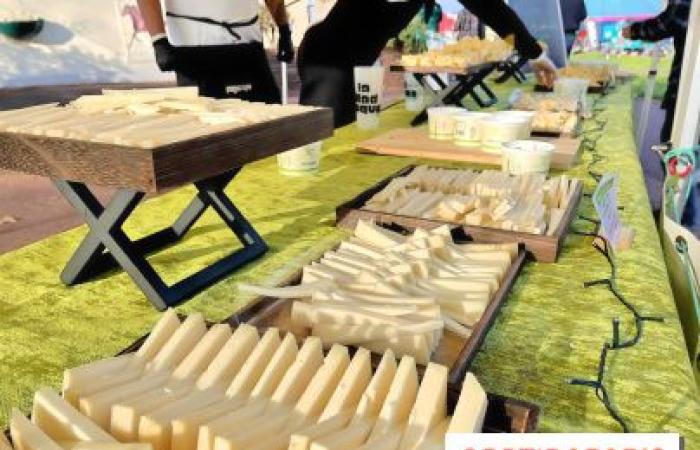 Mad Jacques Fromage, the unusual electro-cheese festival returns in April 2025 to the Paris region