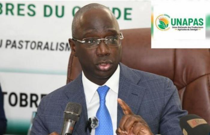 the key role of Minister Dr Mabouba Diagne praised by UNAPAS…