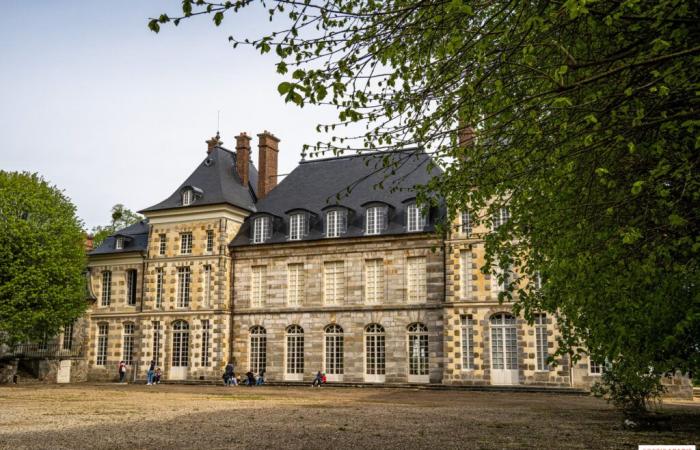 The Bal des Ombres: an evening of crime, mystery and splendor at the Château de Saint-Jean-de-Beauregard