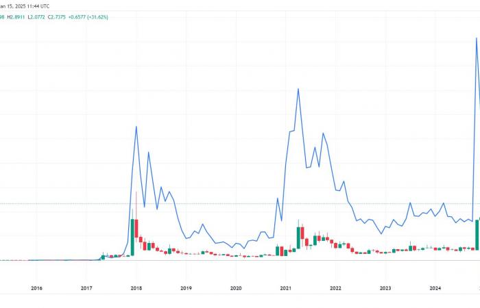 Here’s Why XRP Leads and XLM Follows