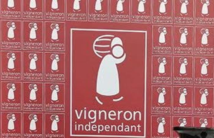 Independent winegrowers from Burgundy and Jura at the show from February 7 to 9 at Rochexpo – New hall at La Roche Sur Foron