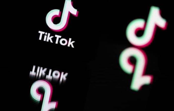 Why Tiktok won’t disappear… even if the application is banned