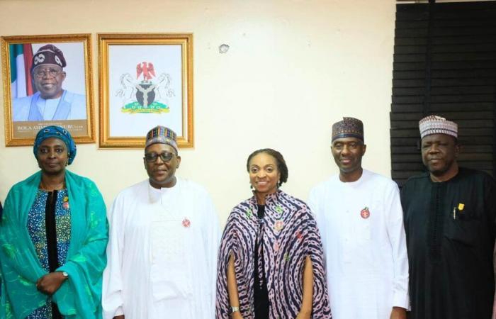 Nigeria: an interministerial plan to modernize food exports and health | APAnews