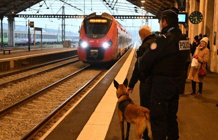 Vast anti-drug operation on Lot trains and at Cahors station, 200 passengers checked this Thursday