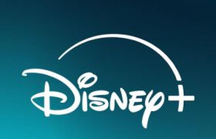 Disney+: account sharing is now no longer possible in France