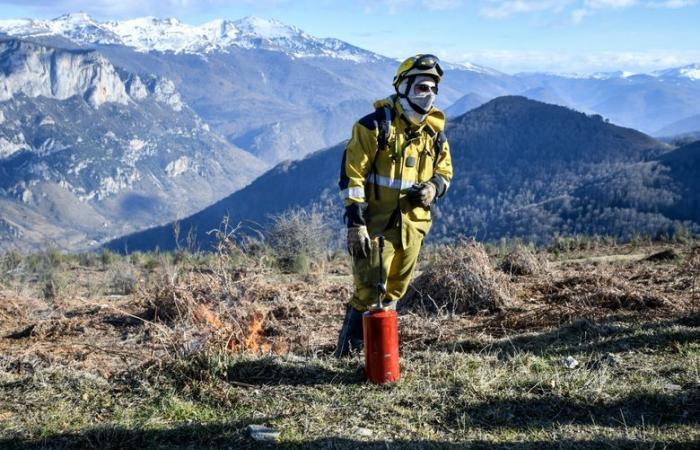 “By increasing the surface burned in winter, we reduce the surface likely to be burned in summer”: when firefighters set fire to the mountain to prevent fires