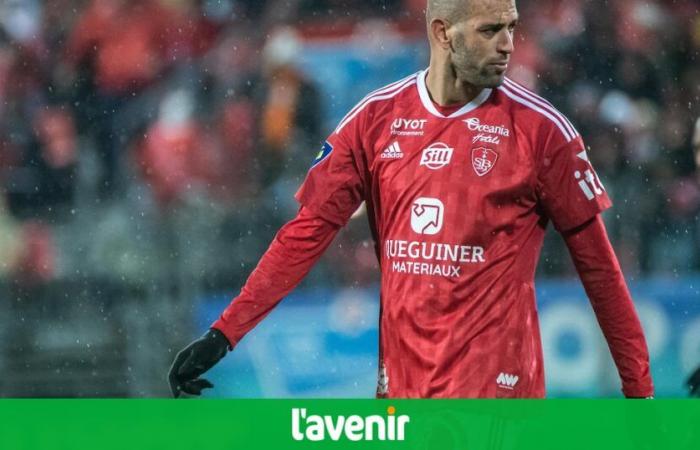 A third club in Belgium for Islam Slimani: the former Anderlecht striker, aged 36, arrives on loan at Westerlo