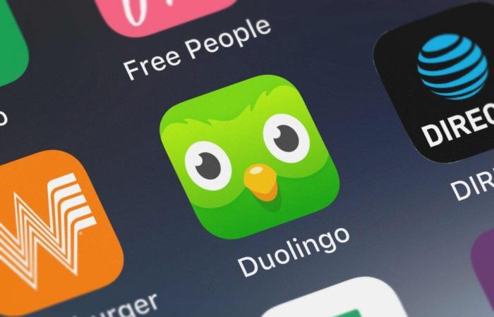 US TikTok ban propels learning Chinese on Duolingo and mass adoption of RedNote