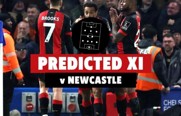 Predicted AFC Bournemouth team for trip to Newcastle