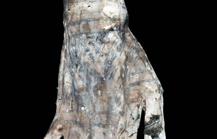 Extremely Intricate Tattoos Discovered on Peruvian Mummies