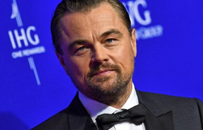 Leonardo DiCaprio donates a million dollars to the fires