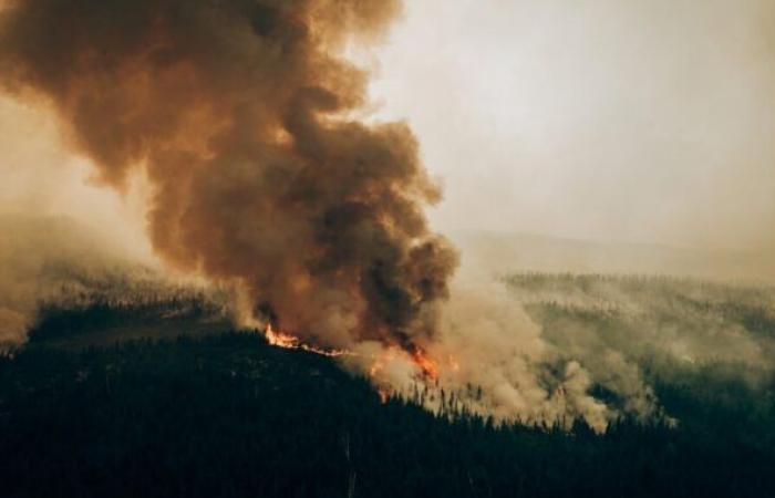 Quebec consults regarding the development of sectors affected by forest fires on the North Shore