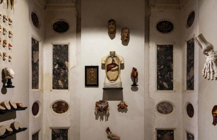 The Palazzo Grimani in Venice, an ode to the art of collecting