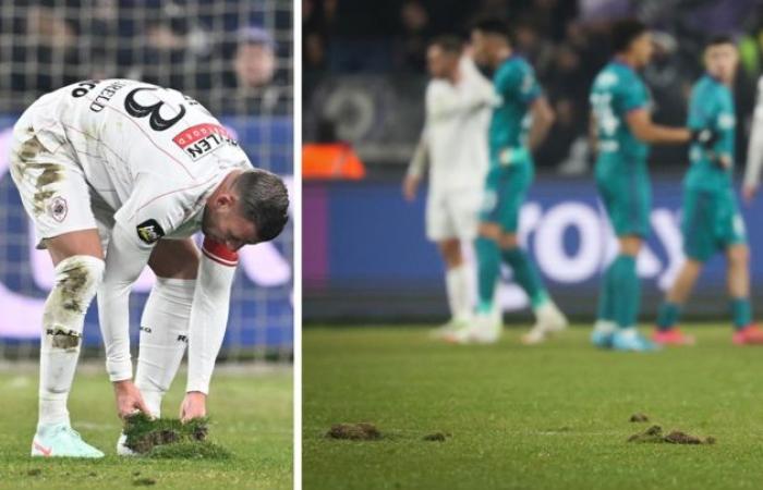 Four days of rest won’t make any difference: new turf in Anderlecht will come loose again against Antwerp