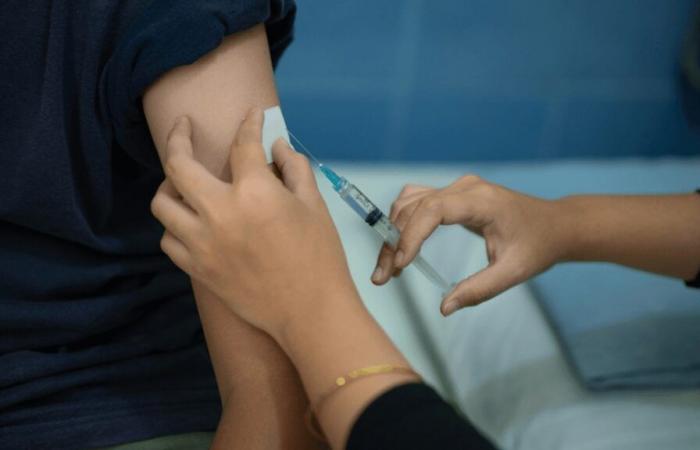 Flu epidemic: “clear increase in deaths” and hospital activity