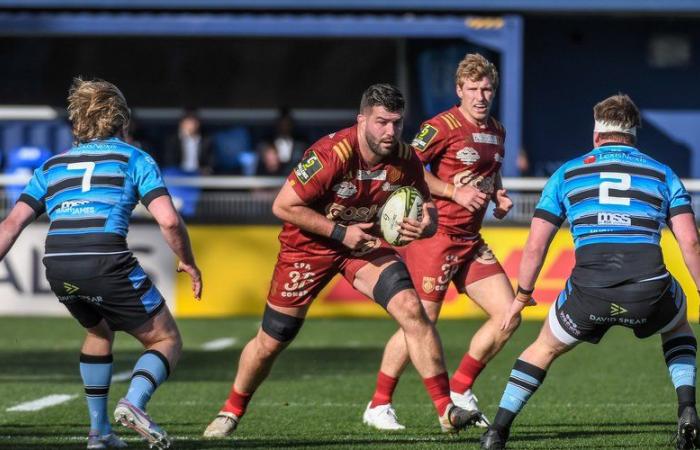 Rugby – Challenge Cup: “We will do the accounts at the end”, announces Mathieu Tanguy, who would like to offer a qualification to the USAP and its supporters in Parma