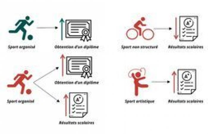 Organized sport during childhood and adolescence promotes academic success in adulthood