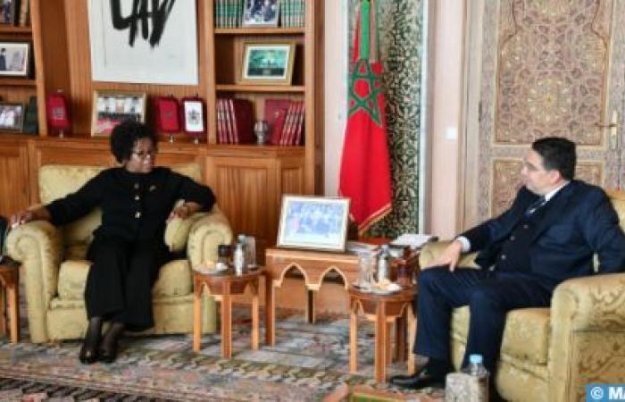 Morocco and Malawi commit to strengthening their cooperation at bilateral and multilateral levels