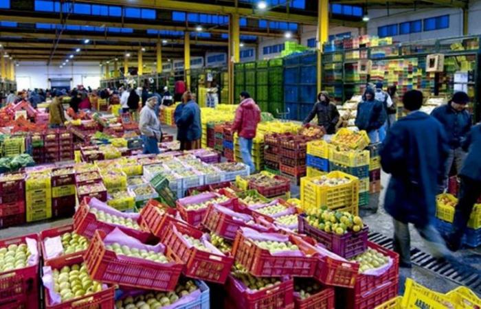 The Casablanca Wholesale Market generated 177 MDH in revenue in 2024, a record!