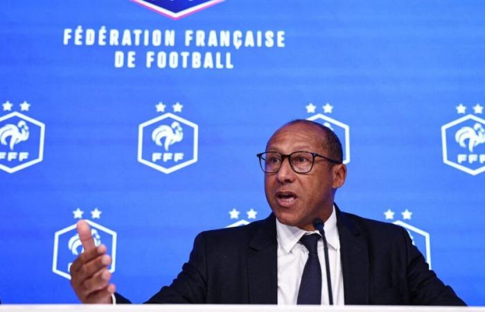 The FFF wants to create a professional Ligue 3 in 2026-27