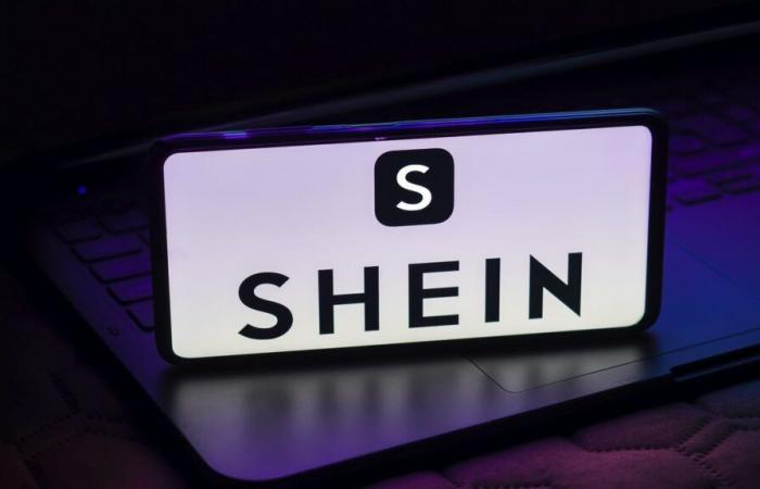 Christophe Castaner, Nicole Guedj… For what purpose does Shein appoint French political figures?