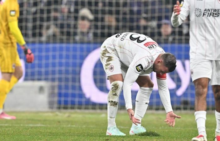 Four days of rest won’t make any difference: new turf in Anderlecht will come loose again against Antwerp