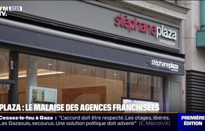 Stéphane Plaza’s franchise agencies suffer heavy losses following accusations against the former real estate star