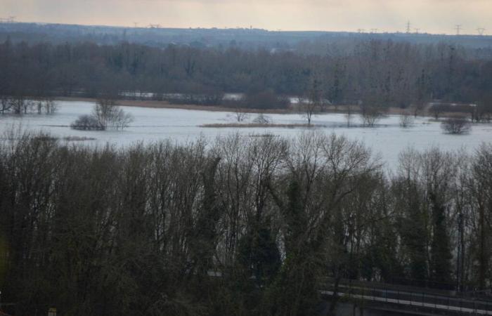 Charente flood: the low road closed between Saintes and Cognac – South West