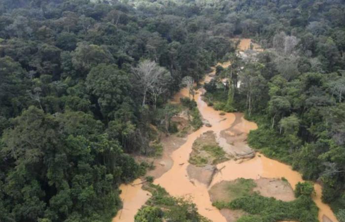 In Guyana, soldiers prosecuted for extortion from a clandestine gold panning site