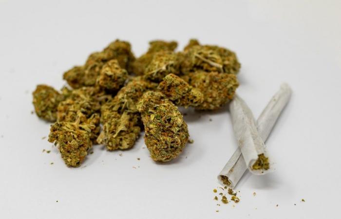 Legislators advance $300 mandatory minimum fine for pot