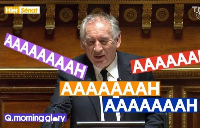 Morning Glory: did François Bayrou's speech traumatize the senators? – Daily | TMC – TF1+