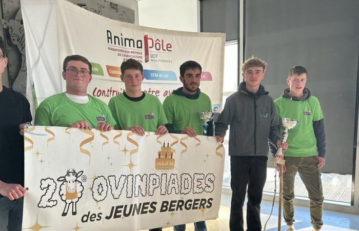 Four Lotois in the final at the Agricultural Show to become the best young shepherd in France