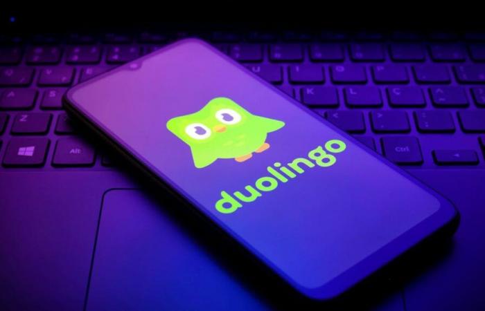 Ban on TikTok: increase in Chinese courses on Duolingo