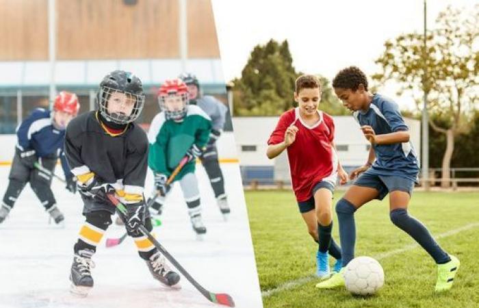 Organized sport during childhood and adolescence promotes academic success in adulthood