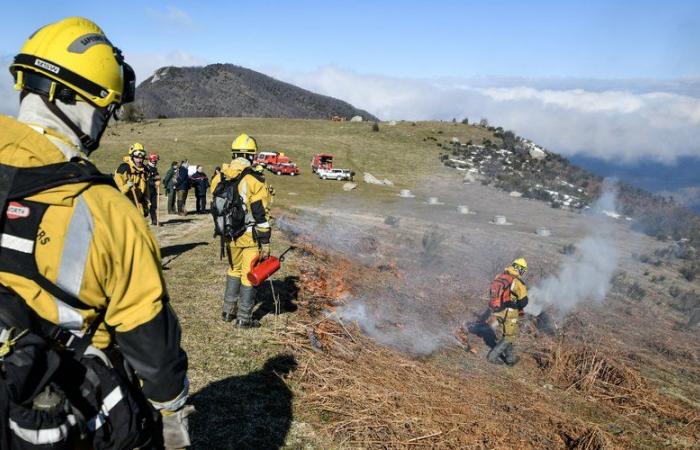 “By increasing the surface burned in winter, we reduce the surface likely to be burned in summer”: when firefighters set fire to the mountain to prevent fires